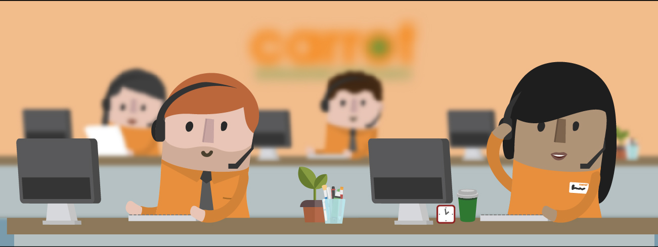 Carrot Insurance Prommt