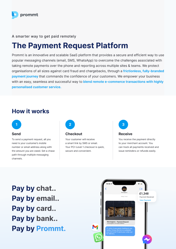 Introduction to Prommt